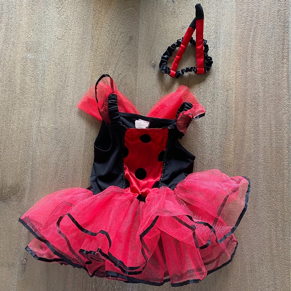 XS Girls Lady Bug Costume 2-4 years